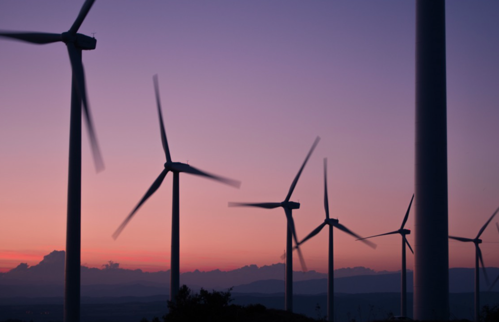 Windfarm at dusk.